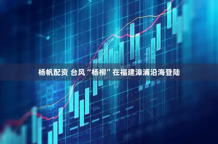 杨帆配资 台风“杨柳”在福建漳浦沿海登陆